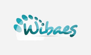 WIBAES SERVICIOS DE INTERNET